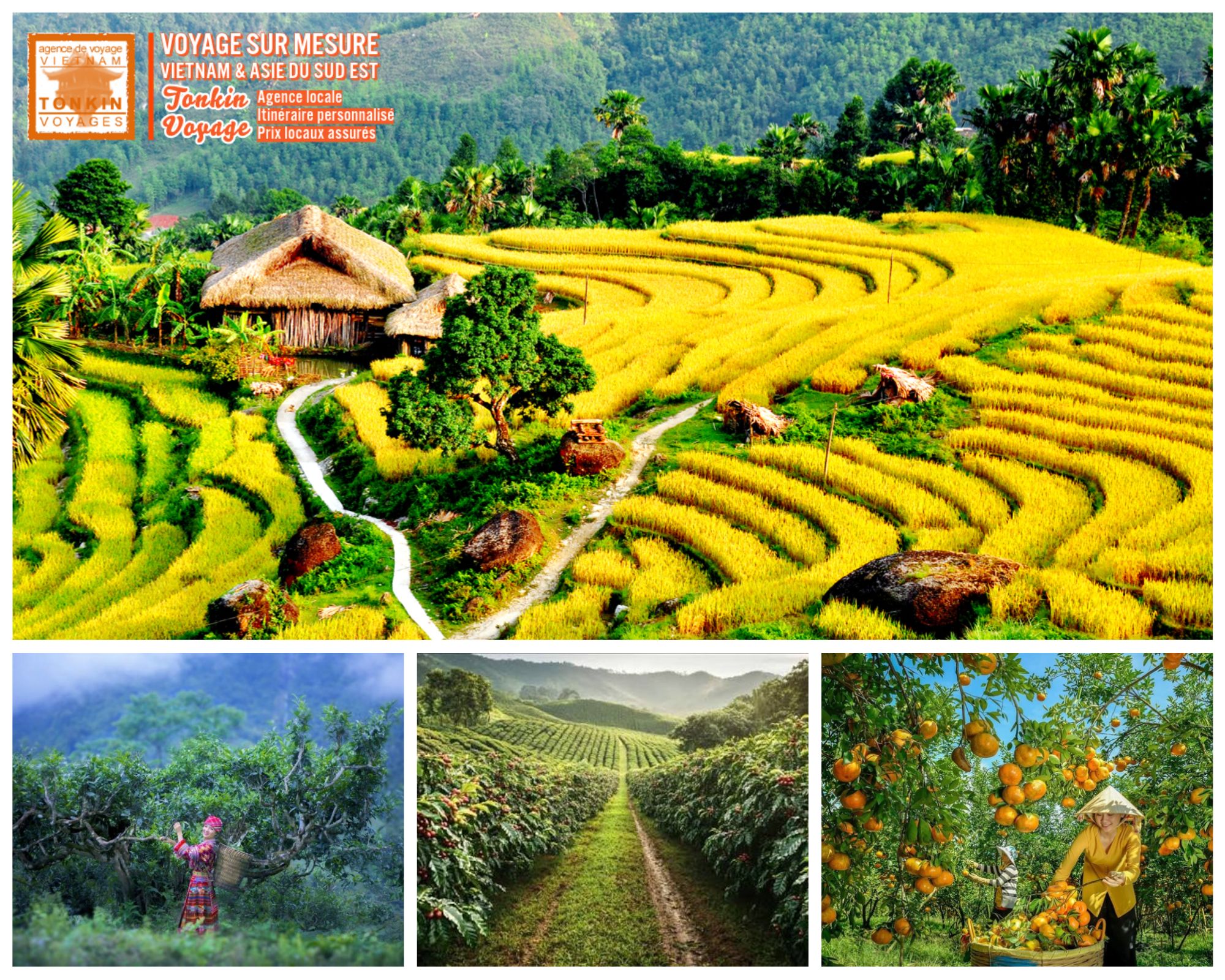 Agrotourisme au Vietnam Voyage agricole sur mesure avec l'agence locale Tonkin Voyage 